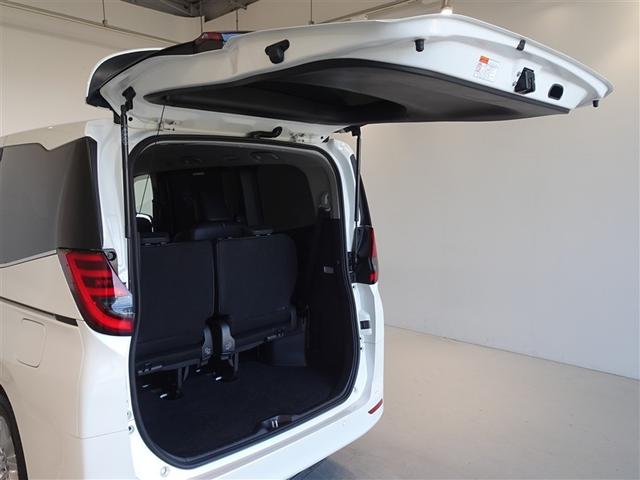 �o�b�N�h�A���J������Ԃł��B