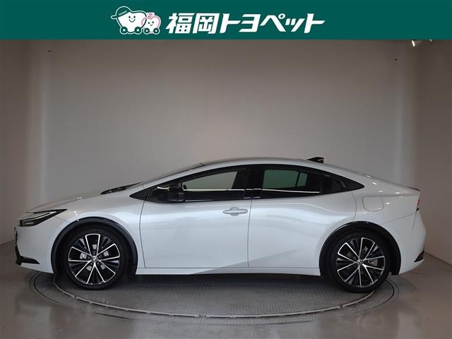 ���s�^�̃v���E�X�@�y�����ׂ��܂����B