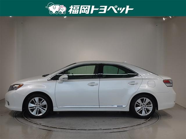 ���N�T�X�̐l�C�Z�_���@�g�r�Q�T�O���@�q���E�W���������ׂ��܂����B