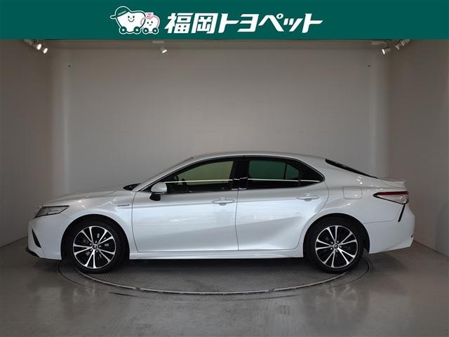 �g���^�̏㋉�Z�_���A�J�����@�v�r�@���U�[�p�b�P�[�W�����ׂ��܂����B