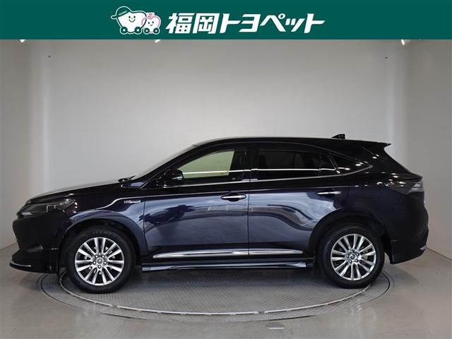 �g���^�̐l�C�r�t�u�A�n���A�[�n�C�u���b�h�v���~�A���@�A�h�o���X�����ׂ��܂����B