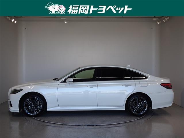 �g���^�̏㋉�Z�_���A�N���E���n�C�u���b�h�@�r�X�|�[�c�X�^�C�������ׂ��܂����B