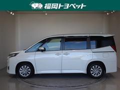 �Υ�&nbsp;�ڡ������ﳲ�ڸ������ƥࡡ���꡼�ʥӡ��ե륻�����Хå�����顡�ţԣá�ξ¦��ư���饤�ɡ����󥷡��ȡ��̣ţĥإåɥ��ס����ޡ��ȥ���������������