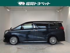 �ȥ西�ξ��ߥ˥Х󡢥���ե����ɡ��ӡ��åѥå����������٤��ޤ��������������Ǥ��� 2