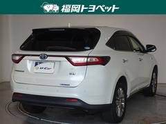 ���Ͽ͵��Υۥ磻�ȥѡ��륯�ꥹ���륷�㥤��Ǥ��� 3