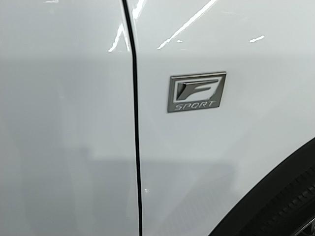 RX RX300 Fスポーツ サンルーフ 革シート キーレス フルセグ ナビ&TV 20アルミホイール エアバッグ 電動シート オートマ フル装備 安全装備 助手席エアバッグ サイドエアバッグ 衝突被害軽減システム ETC(17枚目)