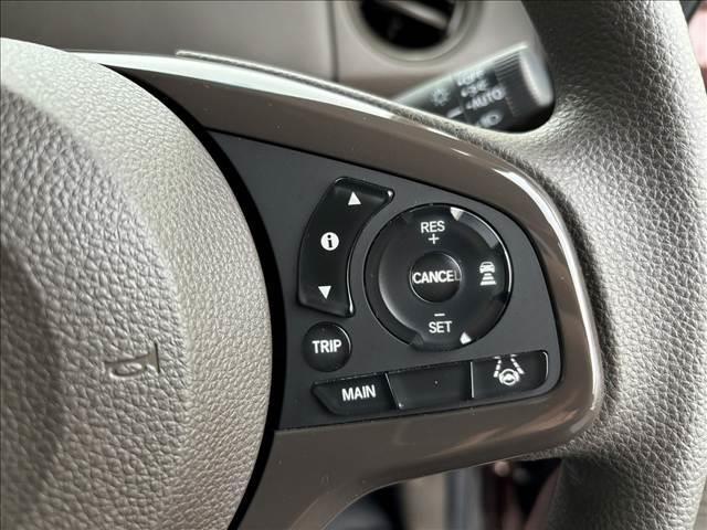 �P�C�J�t�F�̓I�[�����[�J�[�̂��Ԃ���葵���Ă���܂��I