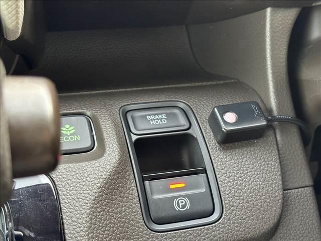 �P�C�J�t�F�̓I�[�����[�J�[�̂��Ԃ���葵���Ă���܂��I