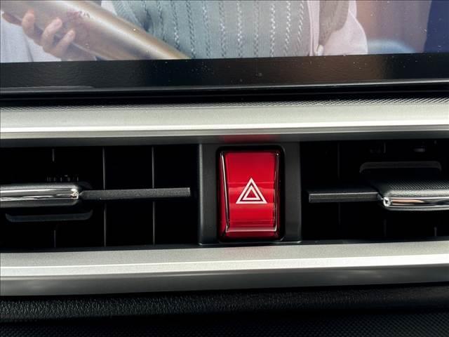 ライズ Z ハイブリッドZ 純正ディスプレイオーディオ フルセグTV スマートキー 衝突被害軽減ブレーキ クリアランスソナー シートヒーター ECS ACC LEDヘッドライト(34枚目)