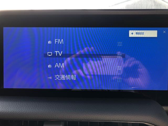 ランドクルーザー250 VX ワンオーナー サンルーフ 革シート 純正ディスプレイオーディオ 地デジ パノラミックビューモニター LEDヘッドライト トヨタセーフティーセンス ブラインドスポットモニター パワーシート ETC(19枚目)