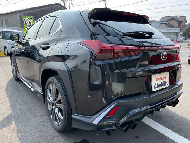 �����I�������q���A���Ɏ����Ђɂē��O���E�d�^�f���[���E����葼���X�܂œO�ꂵ���N���[�j���O�����{�B�S�Ă̎��q�ɐS�����߂Ē��J�ɍs���Ă���܂��I