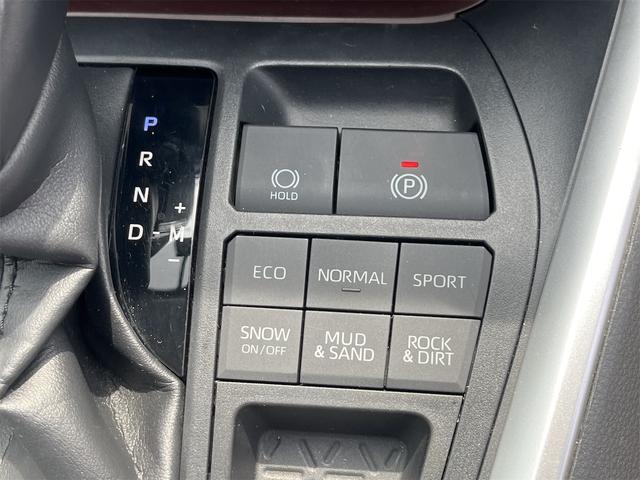 ＲＡＶ４ Ｇ　４ＷＤ　フルセグナビ　バックモニター　ドライブレコーダー　本革シート　スマートキー　純正アルミ　クルーズコントロール　ＥＴＣ　ＬＥＤヘッドライト　レーンアシスト（42枚目）