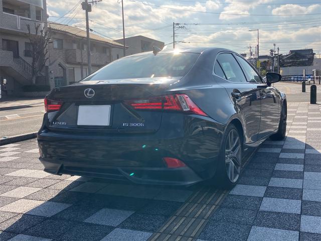 �[�Ԍ���C�����悭����蒸���܂��I�I