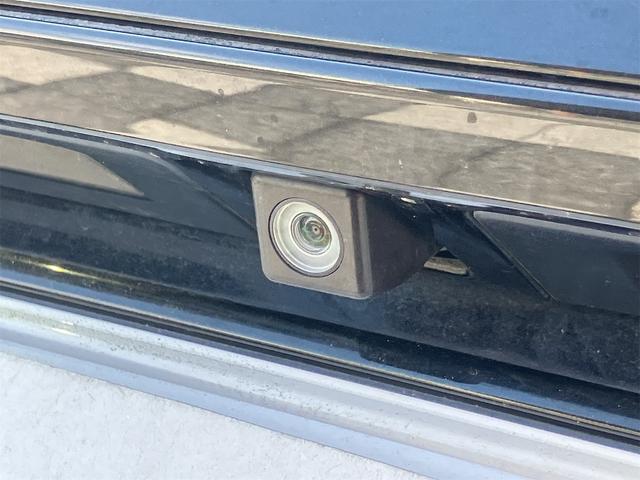 �[�Ԍ���C�����悭����蒸���܂��I�I