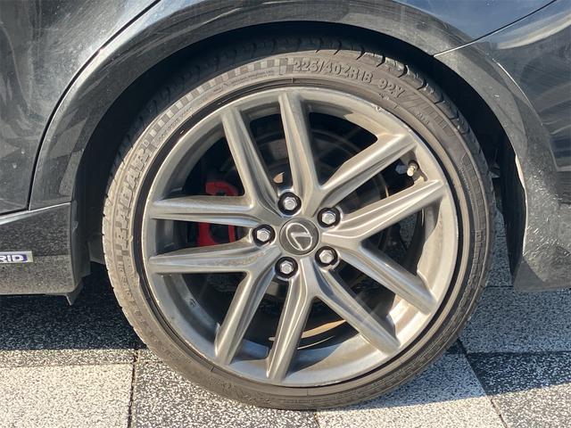 �[�Ԍ���C�����悭����蒸���܂��I�I