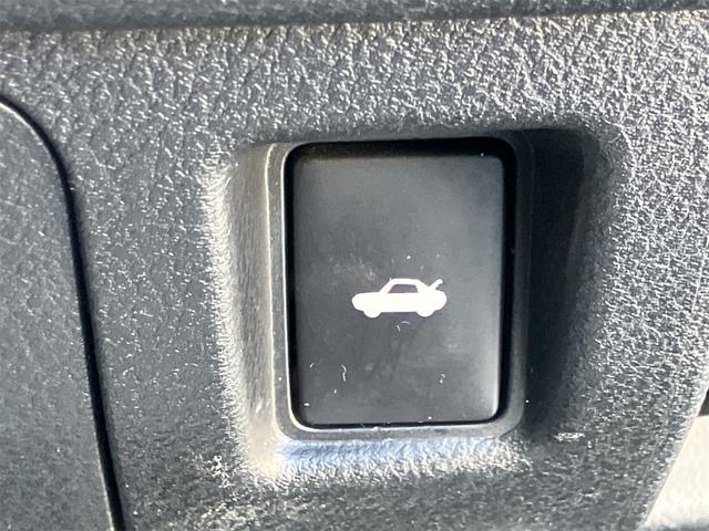 �[�Ԍ���C�����悭����蒸���܂��I�I