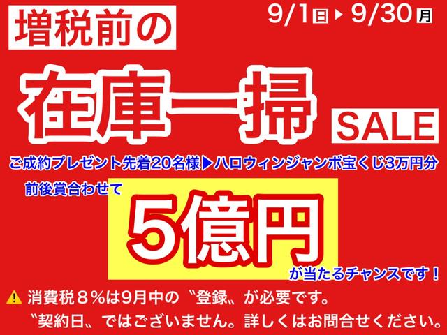 HVMV デュアルカメラブレーキS装着車 全国3年保証付(4枚目)