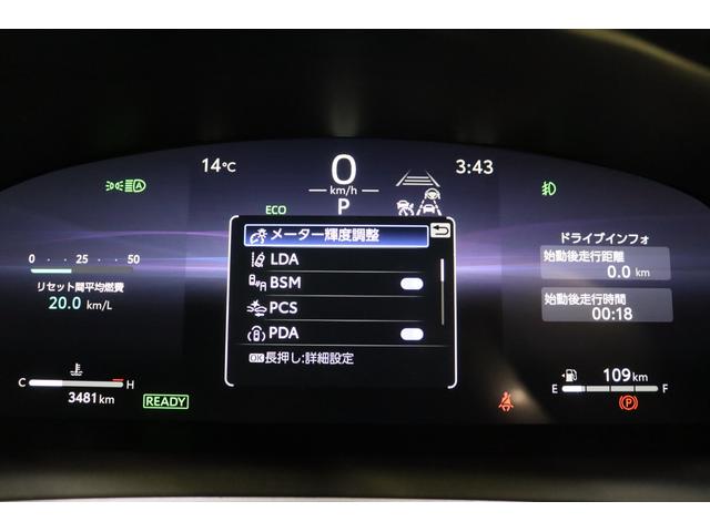 �y���[���f�B�p�[�`���[�A���[�g�z�����E�������������ꂽ�������H�܂��͎����Ԑ�p���H�𑖍s���A�Ԑ�����̈�E�̉\�����^�]�҂Ɍx������ƂƂ��ɁA��E��������邽�߂̃n���h������̈ꕔ���x�����܂��B