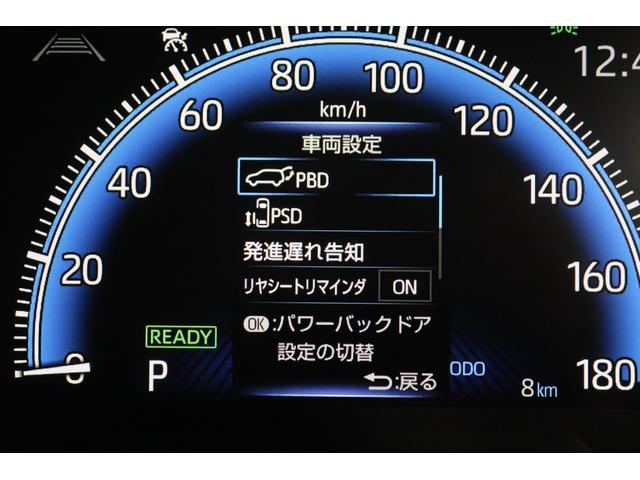 �y�o�a�c�F�p���[�o�b�N�h�A�z�ԓ����烉�Q�b�W���J�����܂��B