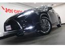 ＲＸ３００　バージョンＬ　全国３年保証付　モデリスタ　マークレビンソン　リアエンターテイメントシステム　サンルーフ　本革　全周囲カメラ　メモリーナビ　フルセグ　ＨＵＤ　レクサスセーフティ　２０ＡＷ　パワーバックドア　ドラレコ（47枚目）