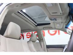 �ڥ���롼�աۼ���˺θ������뤯����Ū�ʵ��������ɤ��ɥ饤�֤��ڤ���ޤ�������ȥ��å׵�ǽ��Ȥ����Ȥ��ߤʤɤǤ⴨���򴶤����˴����򤹤뤳�Ȥ���ǽ�Ǥ��� 6