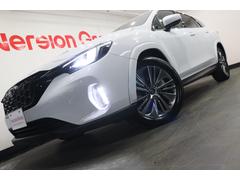 �ڥ����ƥ��֥����Х�ѥå������ۥե���ȥ���롢�ۥ����륢�����ȥ��Υ��åȡ�Ʊ���ۥ����륢�����ȥ����緿��å���ǥ�����Υե���ȥ���롣�쥤�Хå����϶����ԻԷ��ӣգ֤˥�������󤷤ޤ��� 5