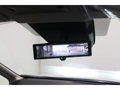 �ڥ���ƥꥸ����ȥ롼��ߥ顼�ۼ��θ����˥���餬�Ĥ��Ƥ���Τǡ��礭�ʲ�ʪ���Ѥ�Ǥ��Ƥ�ߥ顼�Ǹ������ǧ�Ǥ��ޤ��� 6