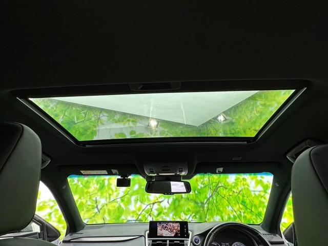 NX300h Fスポーツ サンルーフ/純正 メモリーナビ/プリクラッシュセーフティ/シートヒーター 前席/車線逸脱防止支援システム/シート フルレザー/パーキングアシスト バックガイド/電動バックドア 革シート バックカメラ(14枚目)