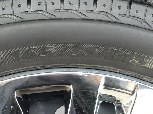 �u���̎Ԃ̎ʐ^�������ƌ������v�u��Ԃ��C�ɂȂ�v�u���̑����͂��Ă���H�v�ǂ�ȏ����ȋ^��ł����C�y�ɂ��₢���킹���������I