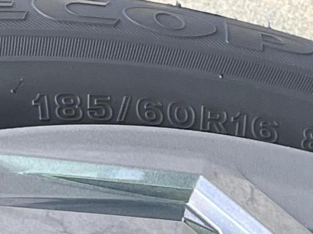 �u���̎Ԃ̎ʐ^�������ƌ������v�u��Ԃ��C�ɂȂ�v�u���̑����͂��Ă���H�v�ǂ�ȏ����ȋ^��ł����C�y�ɂ��₢���킹���������I