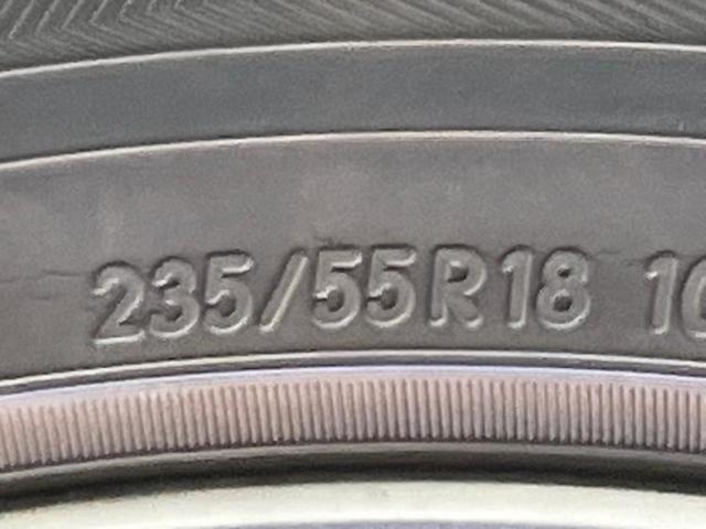 �u���̎Ԃ̎ʐ^�������ƌ������v�u��Ԃ��C�ɂȂ�v�u���̑����͂��Ă���H�v�ǂ�ȏ����ȋ^��ł����C�y�ɂ��₢���킹���������I