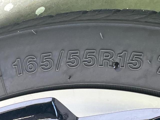 �u���̎Ԃ̎ʐ^�������ƌ������v�u��Ԃ��C�ɂȂ�v�u���̑����͂��Ă���H�v�ǂ�ȏ����ȋ^��ł����C�y�ɂ��₢���킹���������I