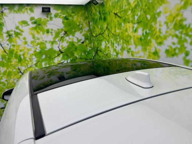 ハリアー Z 新品タイヤ/サンルーフ/JBL/保証書/純正 SDナビ/デジタルインナーミラー/トヨタセーフティセンス/パノラミックビューモニター/車線逸脱防止支援システム/シート ハーフレザー/電動バックドア(44枚目)