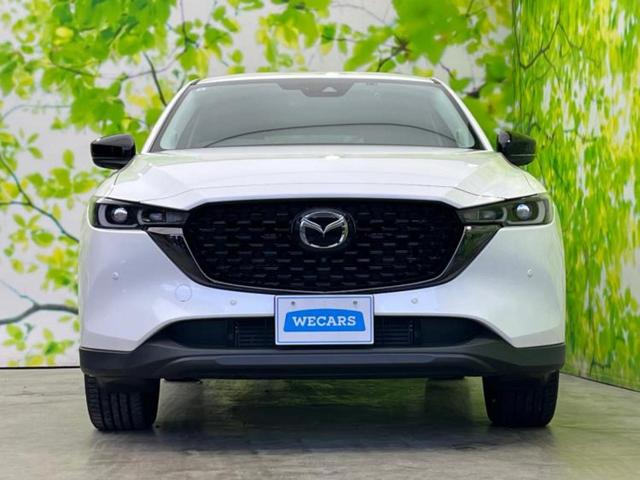 CX-5 XDブラックトーンエディション 保証書/純正 10インチ SDナビ/衝突安全装置/シートヒーター/全方位モニター/車線逸脱防止支援システム/シート 合皮/電動バックドア/ヘッドランプ LED/Bluetooth接続/ETC 記録簿(36枚目)