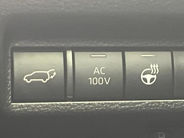 RAV4 4WDハイブリッドG 新品タイヤ/モデリスタエアロ/保証書/ディスプレイオーディオ9インチ/デジタルインナーミラー/トヨタセーフティセンス/シートヒーター 前席/車線逸脱防止支援システム/シート 合皮/電動バックドア TV(24枚目)