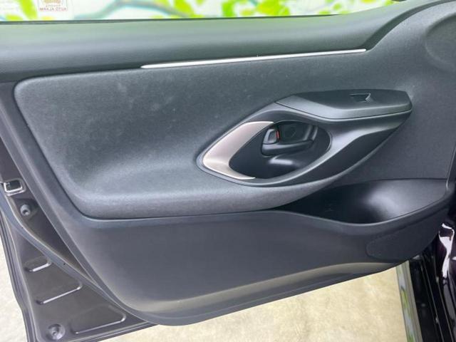 �u���̎Ԃ̎ʐ^�������ƌ������v�u��Ԃ��C�ɂȂ�v�u���̑����͂��Ă���H�v�ǂ�ȏ����ȋ^��ł����C�y�ɂ��₢���킹���������I