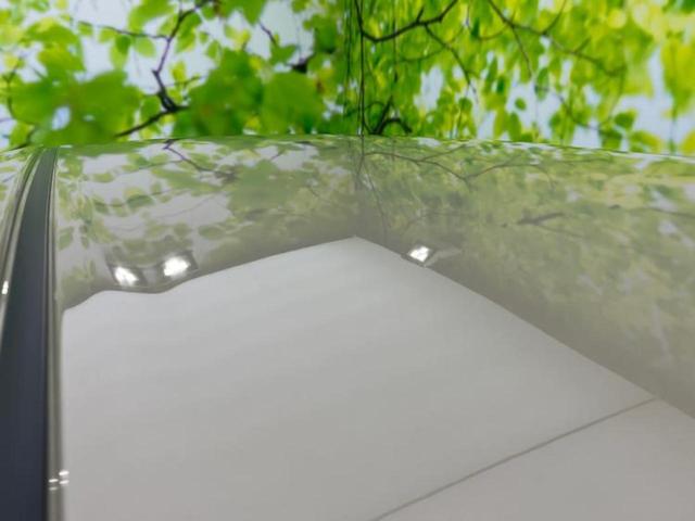 ライズ Ｇ　保証書／ディスプレイオーディオ９インチ／スマートアシスト（トヨタ・ダイハツ）／車線逸脱防止支援システム／ヘッドランプ　ＬＥＤ／ＵＳＢジャック／Ｂｌｕｅｔｏｏｔｈ接続／ＥＴＣ／ＥＢＤ付ＡＢＳ　ＴＶ（42枚目）