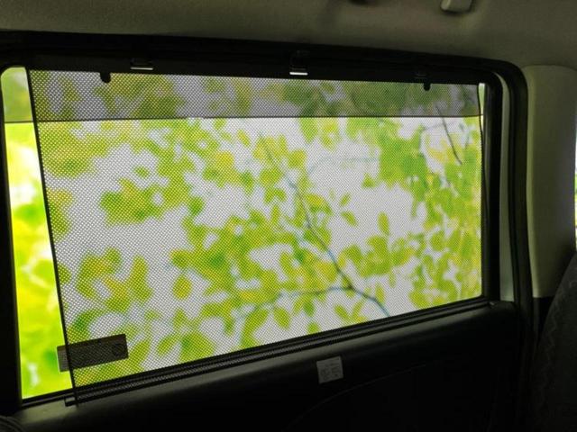 ＷＥＣＡＲＳの店舗にはキッズコーナーがございます！お子様連れのお客様もごゆっくり車選びをお楽しみいただける空間です！