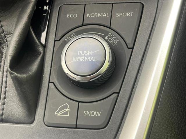RAV4 4WDアドベンチャー 保証書/純正 9インチ SDナビ/デジタルインナーミラー/衝突安全装置/車線逸脱防止支援システム/シート 合皮/ヘッドランプ LED/Bluetooth接続/ETC/EBD付ABS/横滑り防止装置(27枚目)