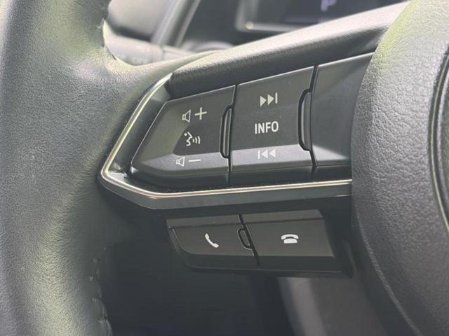 ＣＸ－３ １５Ｓアーバンドレッサー　新品タイヤ／保証書／ディスプレイオーディオ／アイアクティブセンス（マツダ）／シートヒーター　運転席／全方位モニター／車線逸脱防止支援システム／シート　ハーフレザー／ヘッドランプ　ＬＥＤ　全周囲カメラ（14枚目）
