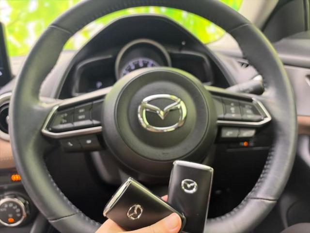 ＣＸ－３ １５Ｓアーバンドレッサー　新品タイヤ／保証書／ディスプレイオーディオ／アイアクティブセンス（マツダ）／シートヒーター　運転席／全方位モニター／車線逸脱防止支援システム／シート　ハーフレザー／ヘッドランプ　ＬＥＤ　全周囲カメラ（37枚目）