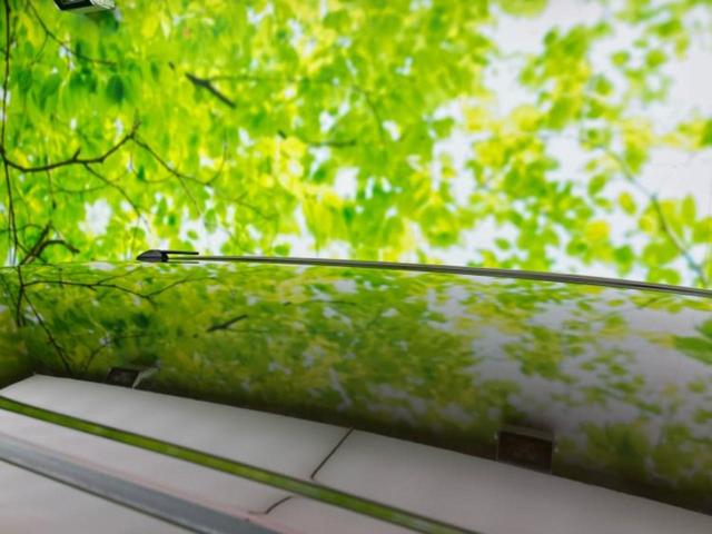 トール ＧリミテッドＳＡ３　保証書／純正　ＳＤナビ／衝突安全装置／両側電動スライドドア／シートヒーター／パノラマモニター／車線逸脱防止支援システム／ドライブレコーダー　社外／ＵＳＢジャック／Ｂｌｕｅｔｏｏｔｈ接続／ＥＴＣ（44枚目）