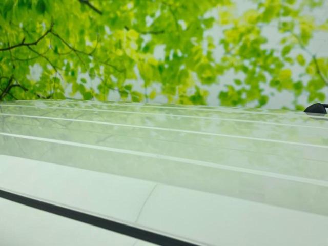 ハスラー ハイブリッドＧ　保証書／セーフティサポート（スズキ）／シートヒーター　前席／車線逸脱防止支援システム／ヘッドランプ　ＬＥＤ／ＥＢＤ付ＡＢＳ／横滑り防止装置／アイドリングストップ／禁煙車／エアバッグ　運転席（33枚目）
