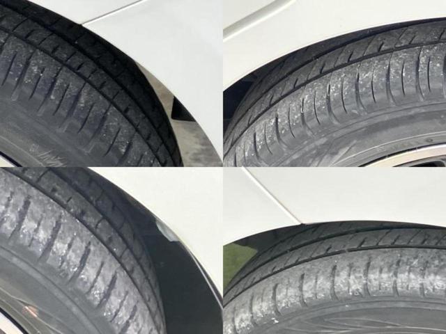 �u���̎Ԃ̎ʐ^�������ƌ������v�u��Ԃ��C�ɂȂ�v�u���̑����͂��Ă���H�v�ǂ�ȏ����ȋ^��ł����C�y�ɂ��₢���킹���������I