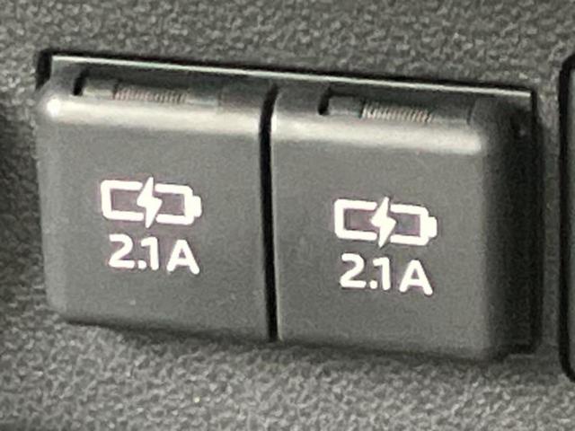 �u���̎Ԃ̎ʐ^�������ƌ������v�u��Ԃ��C�ɂȂ�v�u���̑����͂��Ă���H�v�ǂ�ȏ����ȋ^��ł����C�y�ɂ��₢���킹���������I