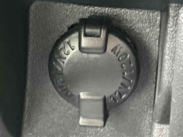 �u���̎Ԃ̎ʐ^�������ƌ������v�u��Ԃ��C�ɂȂ�v�u���̑����͂��Ă���H�v�ǂ�ȏ����ȋ^��ł����C�y�ɂ��₢���킹���������I