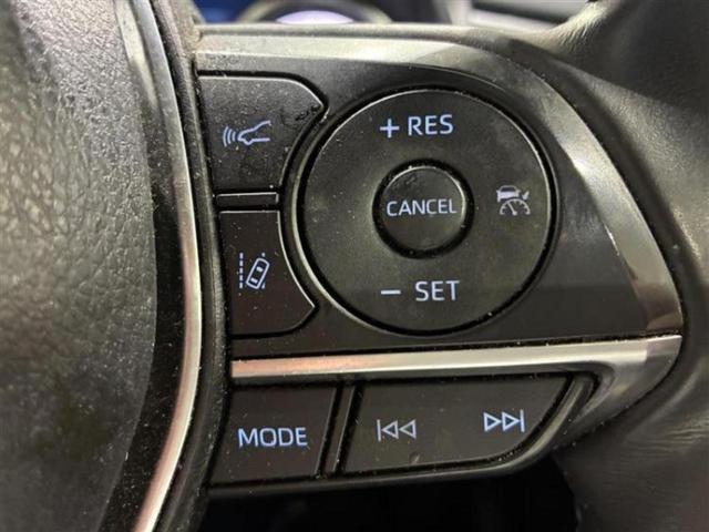 �v�d�b�`�q�r�̓W����ł͎��ۂɌ��āA�G���Ă��Ԃ����I�т��������܂��I�m���̖L�x�ȉc�ƃX�^�b�t���l�X�ȃJ�[���C�t������Ă������܂��I