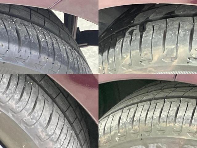 �u���̎Ԃ̎ʐ^�������ƌ������v�u��Ԃ��C�ɂȂ�v�u���̑����͂��Ă���H�v�ǂ�ȏ����ȋ^��ł����C�y�ɂ��₢���킹���������I