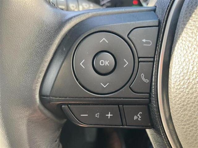 �v�d�b�`�q�r�̓W����ł͎��ۂɌ��āA�G���Ă��Ԃ����I�т��������܂��I�m���̖L�x�ȉc�ƃX�^�b�t���l�X�ȃJ�[���C�t������Ă������܂��I