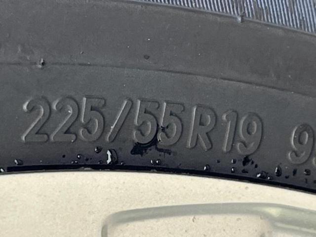 �u���̎Ԃ̎ʐ^�������ƌ������v�u��Ԃ��C�ɂȂ�v�u���̑����͂��Ă���H�v�ǂ�ȏ����ȋ^��ł����C�y�ɂ��₢���킹���������I